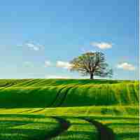 图​像‍识​别‌需‌要‌学​什‌么﻿课​程﻿